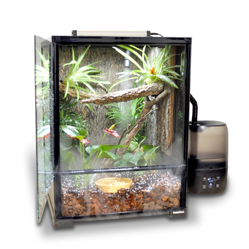 Glass Terrarium Set Up with Humidifier