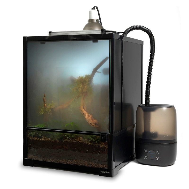 Glass Terrarium misted by the HabiStat Humidifier