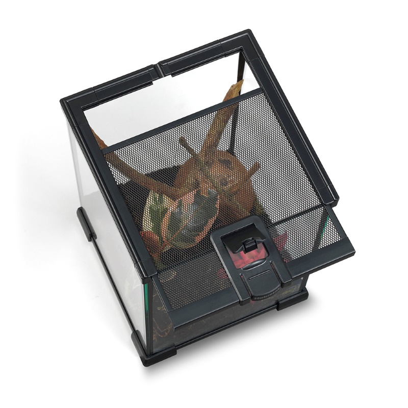 HGT2030 Glass Terrarium with slide out top vent