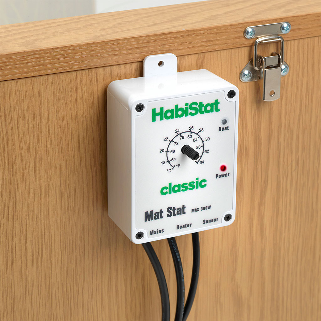 HabiStat White Mat Stat Thermostat on Enclosure