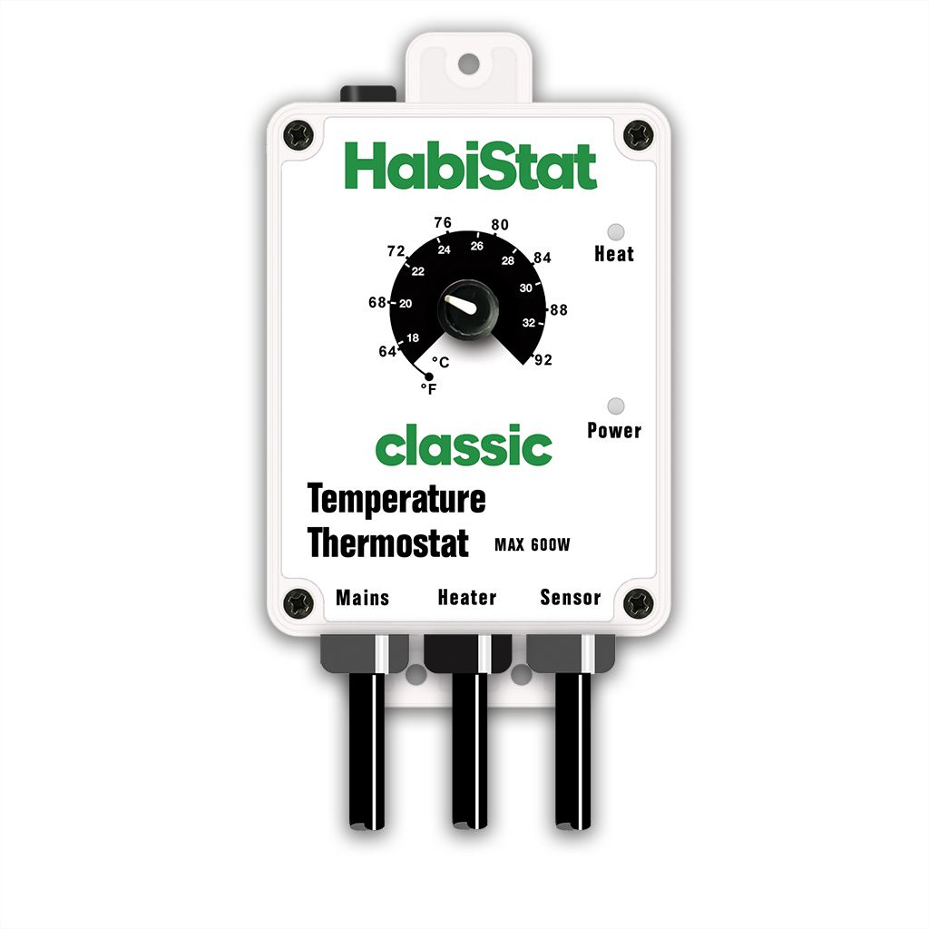 HabiStat White Temperature Thermostat on Enclosure