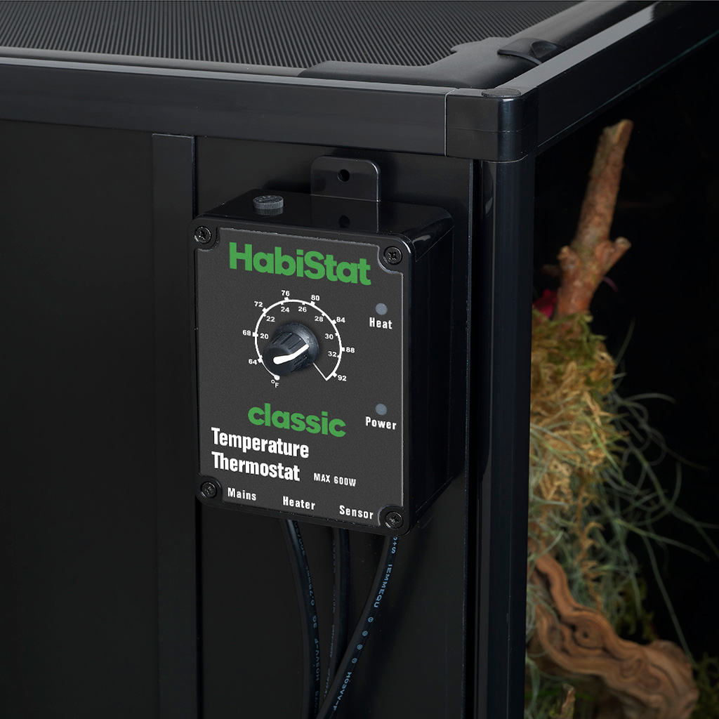 HabiStat Black Temperature Thermostat on Enclosure
