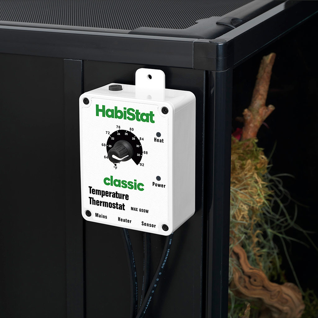 HabiStat White Temperature Thermostat on Enclosure