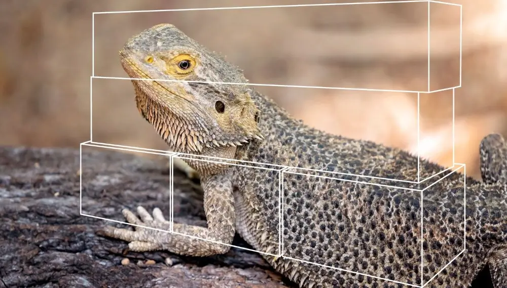 Accessory Kits Product Category Image