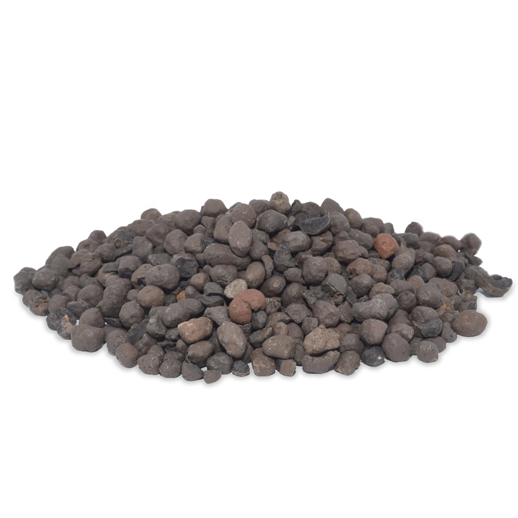 HSCB10_1