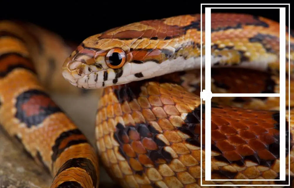 Warmtematten Categorie Afbeelding