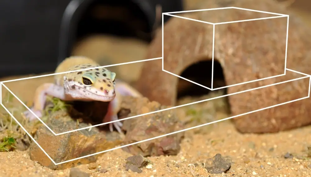 Starter Kits Product Category Image