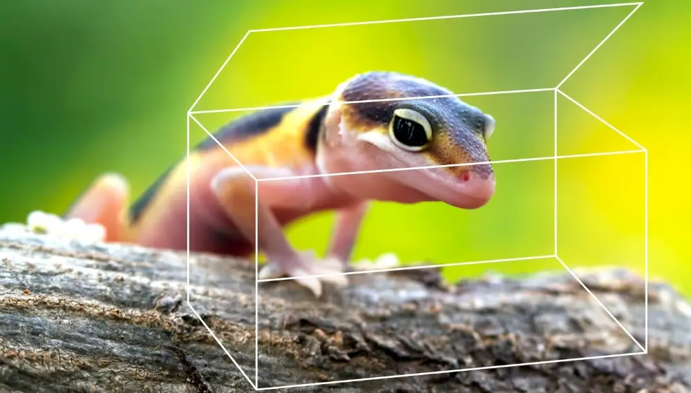 Terrainium Product Category Image