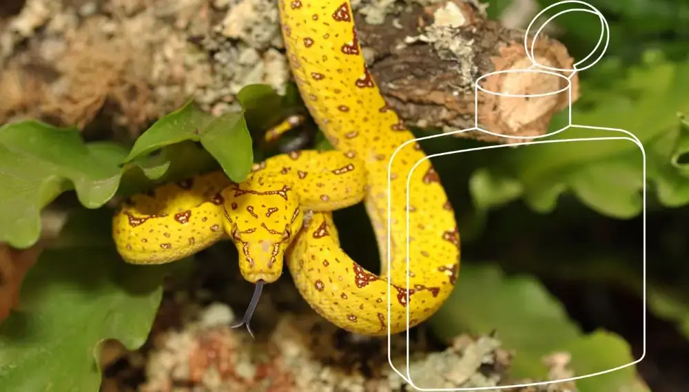 Gezondheid--Hygiëne-Product-Categorie-Overzicht-Afbeelding